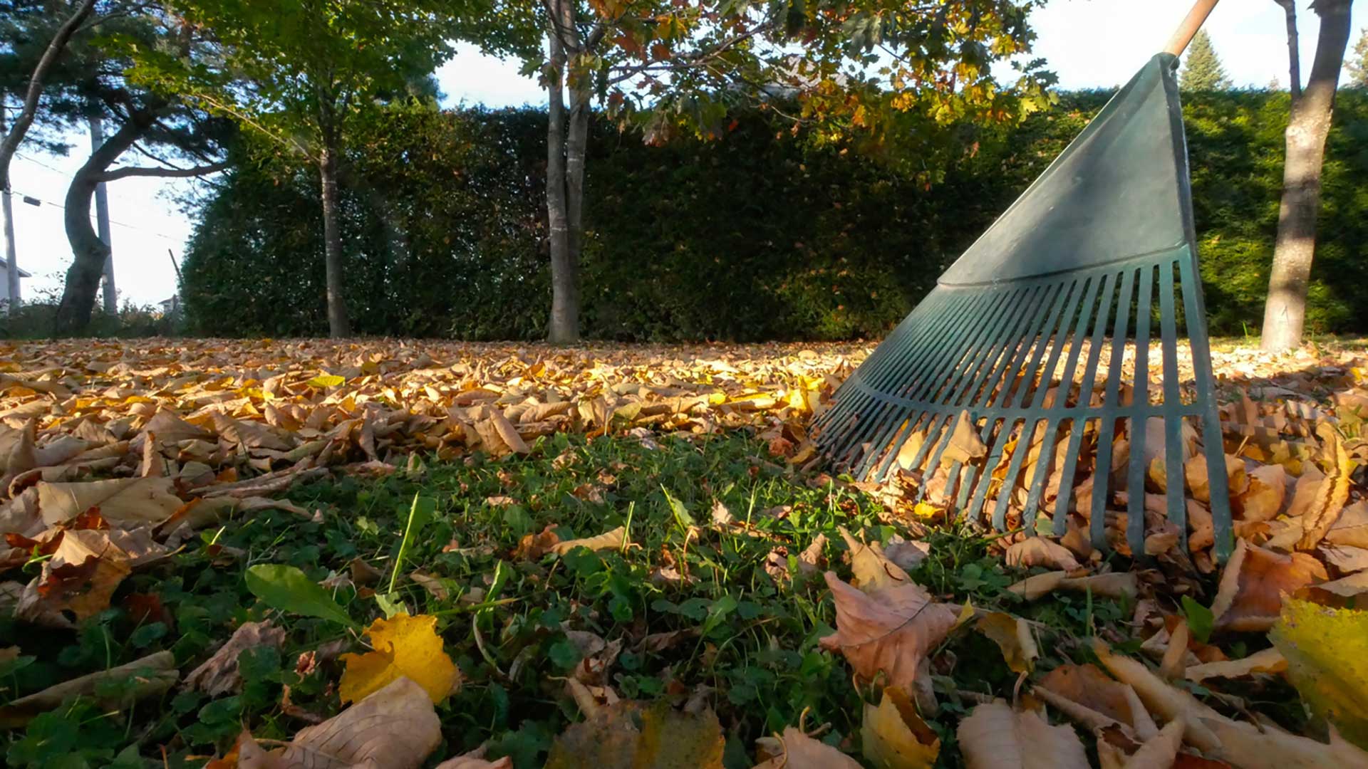 Khali Jardin Etretien jardins en Automne