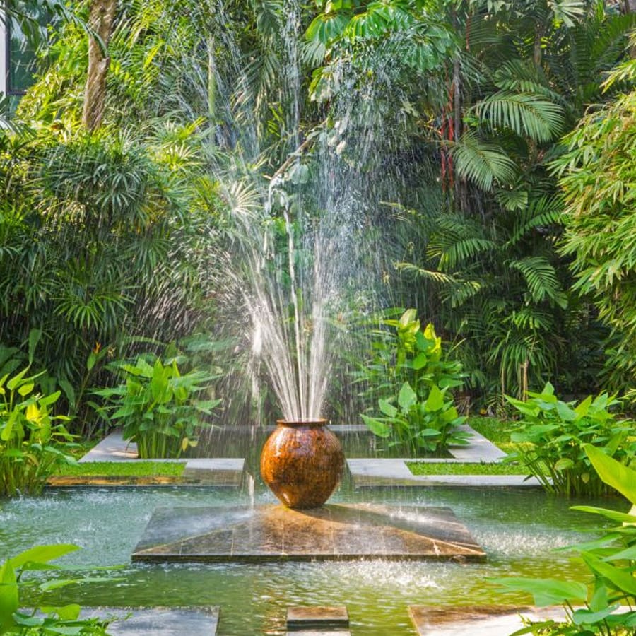 Agence M Com Marseille Khali Jardin Paysagiste Saint Cyr sur Mer Paysage Exotique