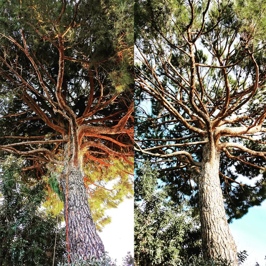 Agence M Com Marseille Khali Jardin Paysagiste Saint Cyr sur Mer Realisation3