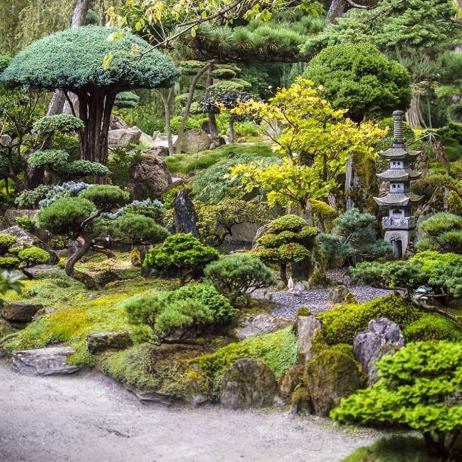 Agence M Com Marseille Khali Jardin Paysagiste Saint Cyr sur Mer jardin japon