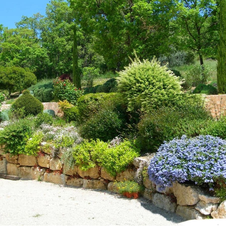 Agence M Com Marseille Khali Jardin Paysagiste Saint Cyr sur Mer jardin méditerranéen