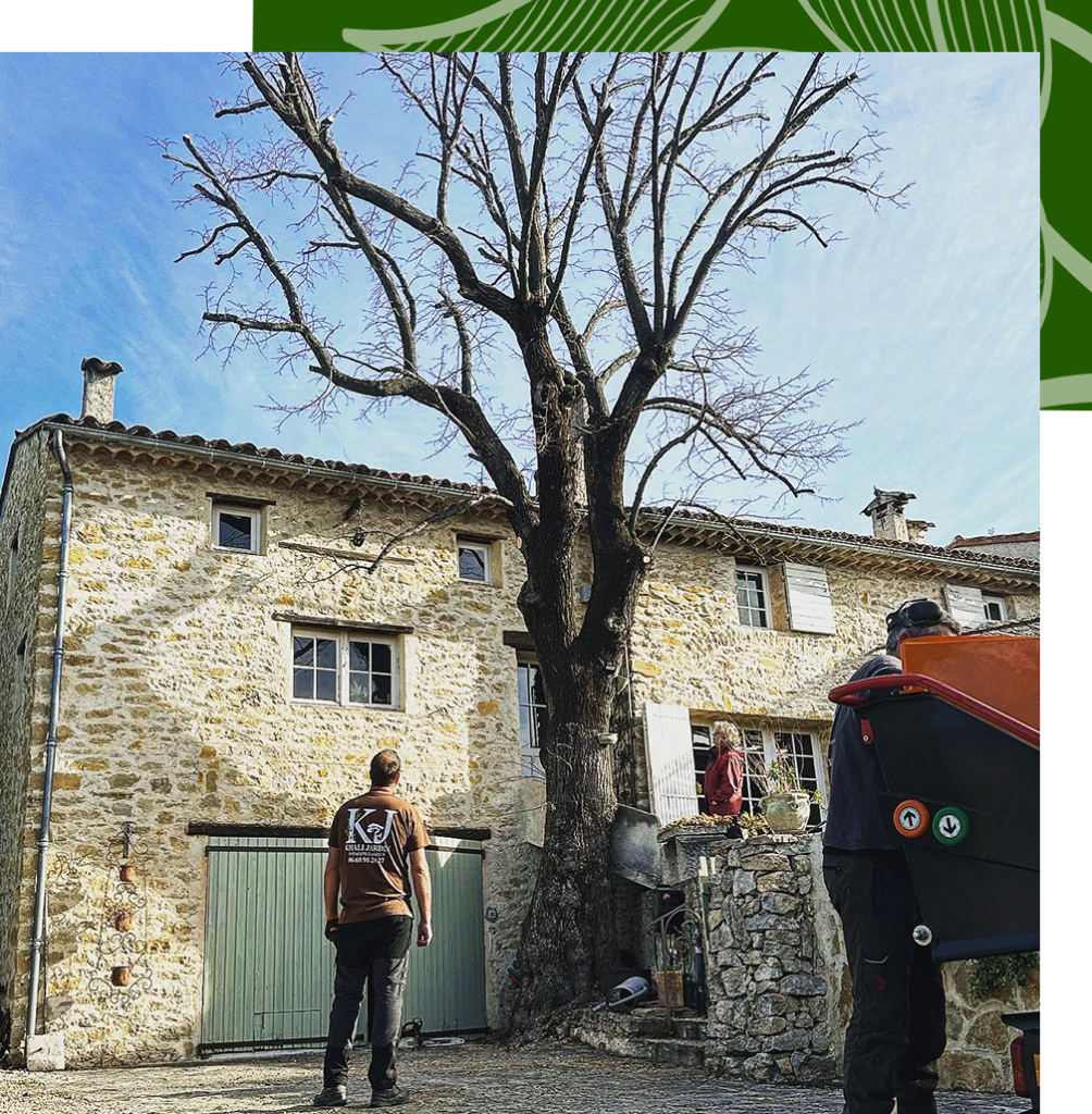 Agence M Com Marseille Khali Jardin Paysagiste Saint Cyr sur Mer Etalage
