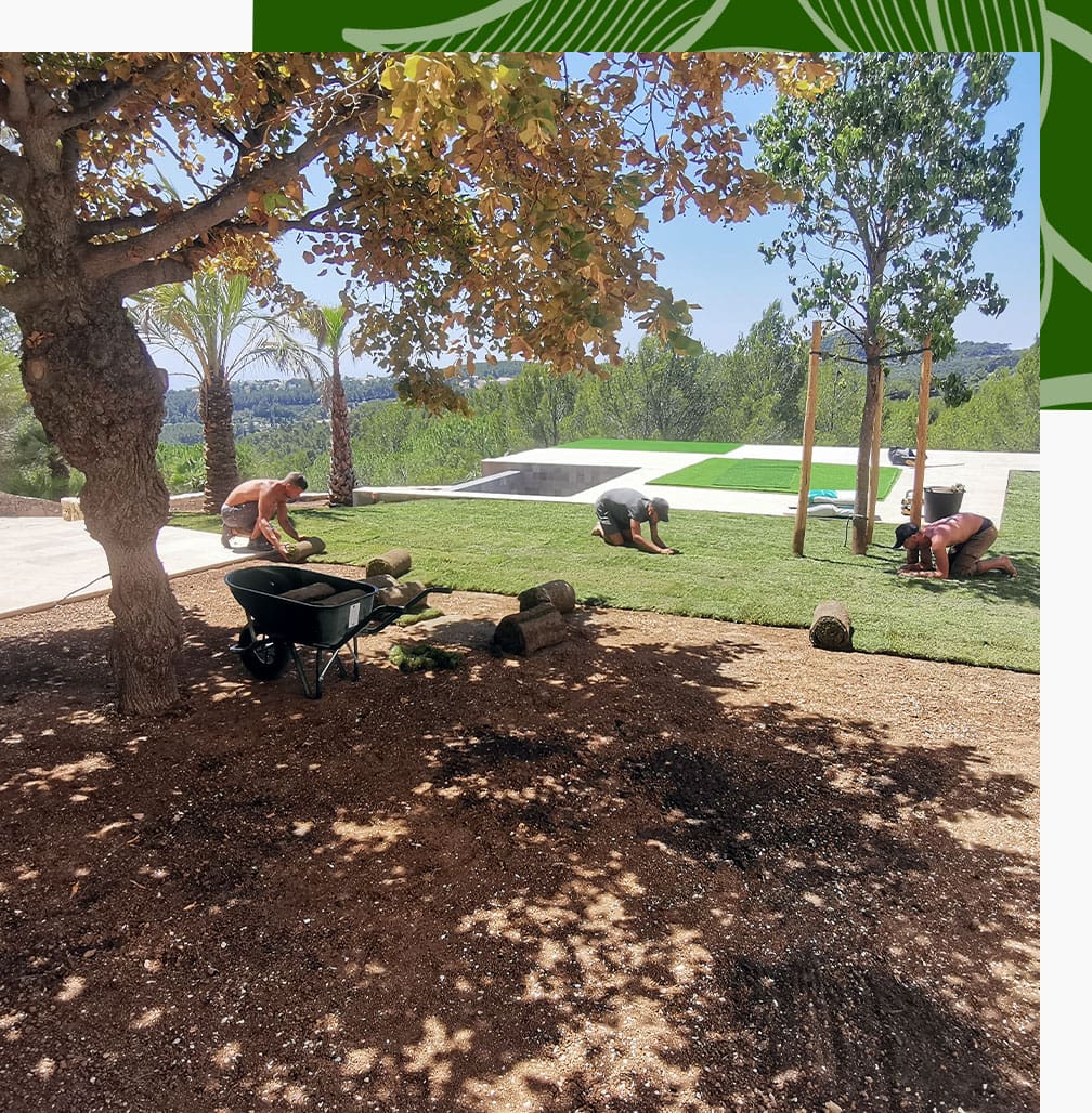 Agence M Com Marseille Khali Jardin Paysagiste Saint Cyr sur Mer Gazon