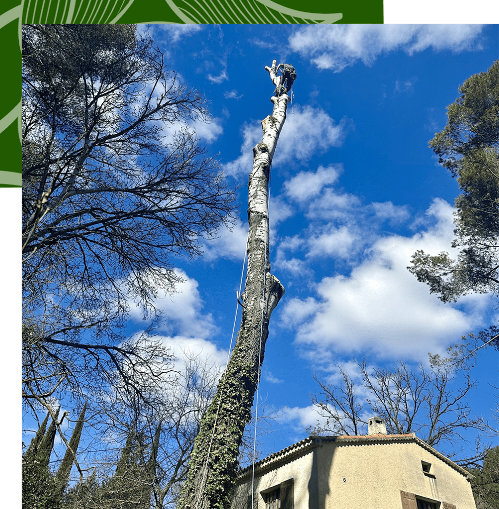 Agence M Com Marseille Khali Jardin Paysagiste Saint Cyr sur Mer Qui etalege2