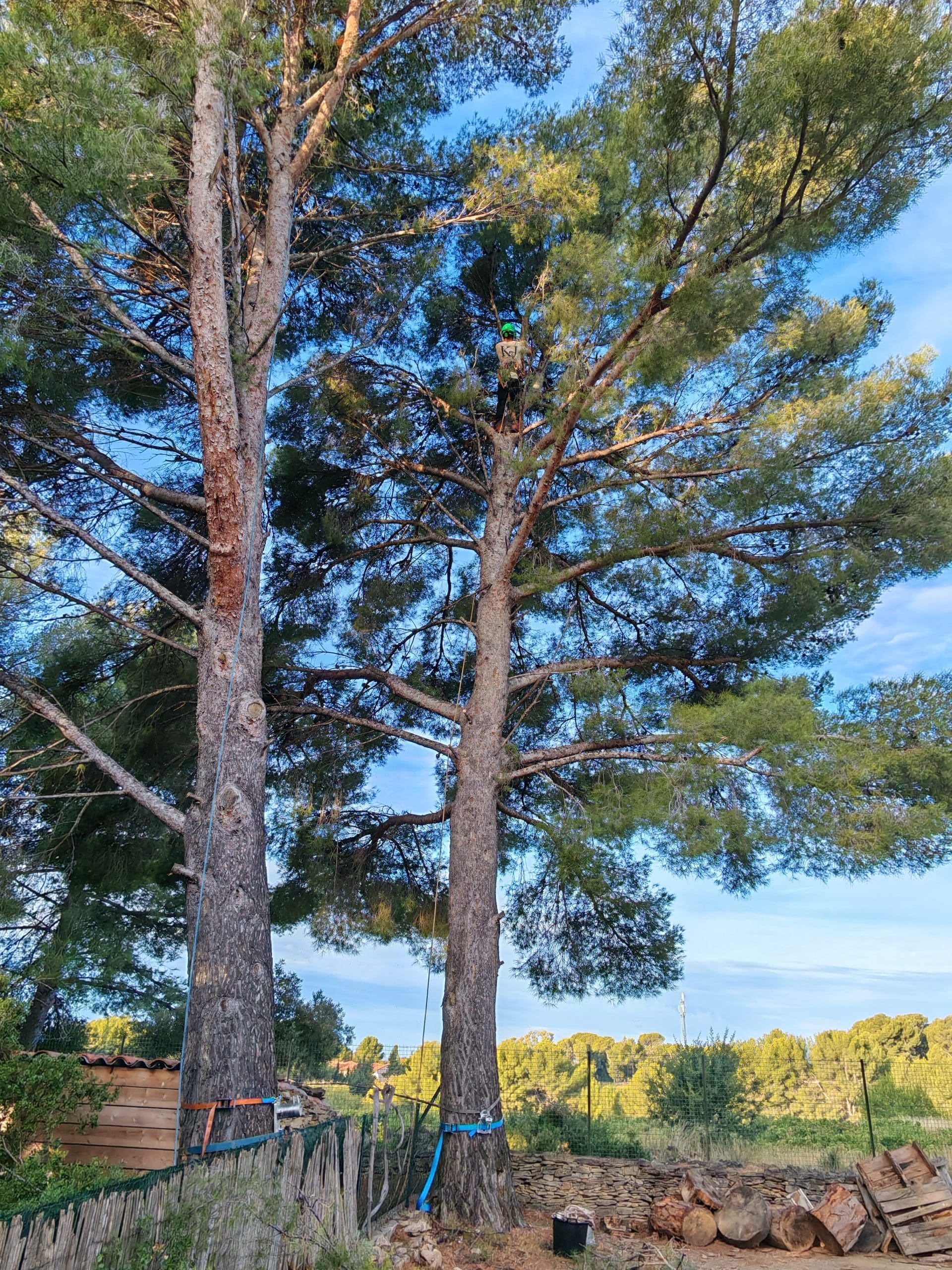 IMG 20241002 082001