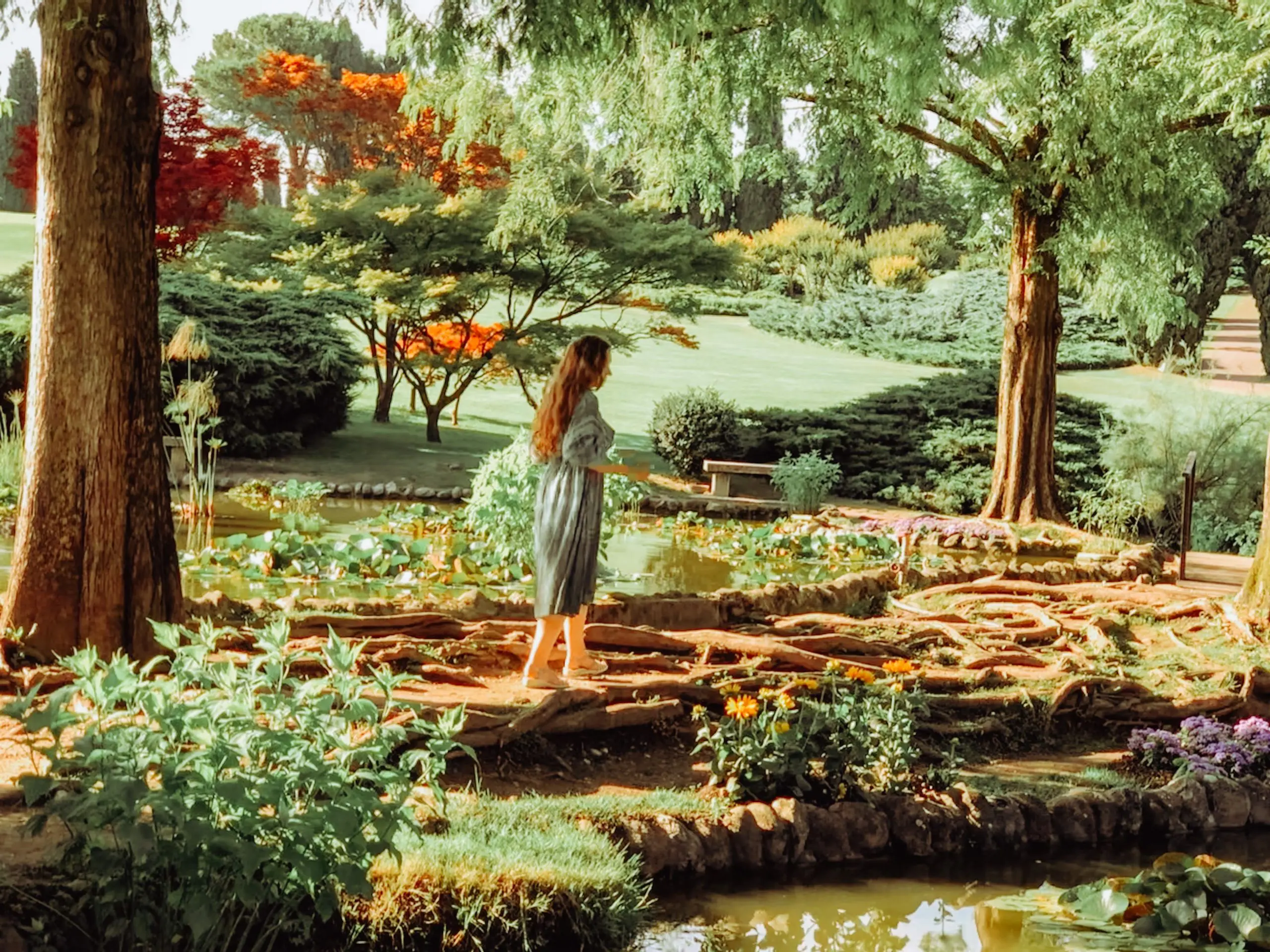 moments in nature young woman fairytale greener 2024 11 26 10 34 47 utc